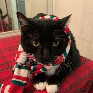 Meet your Posher, Lila